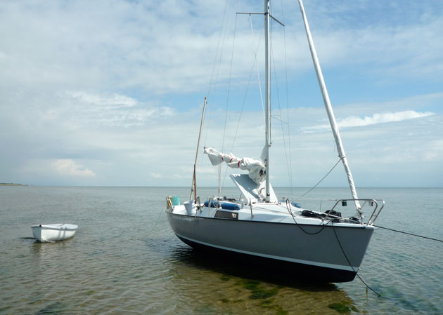 Dufour T7 Zeehond droogvallen onder Vlieland